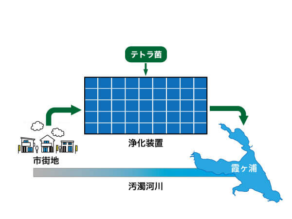 生活排水が流入する河川の浄化