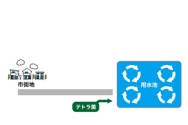 図.用水池の浄化